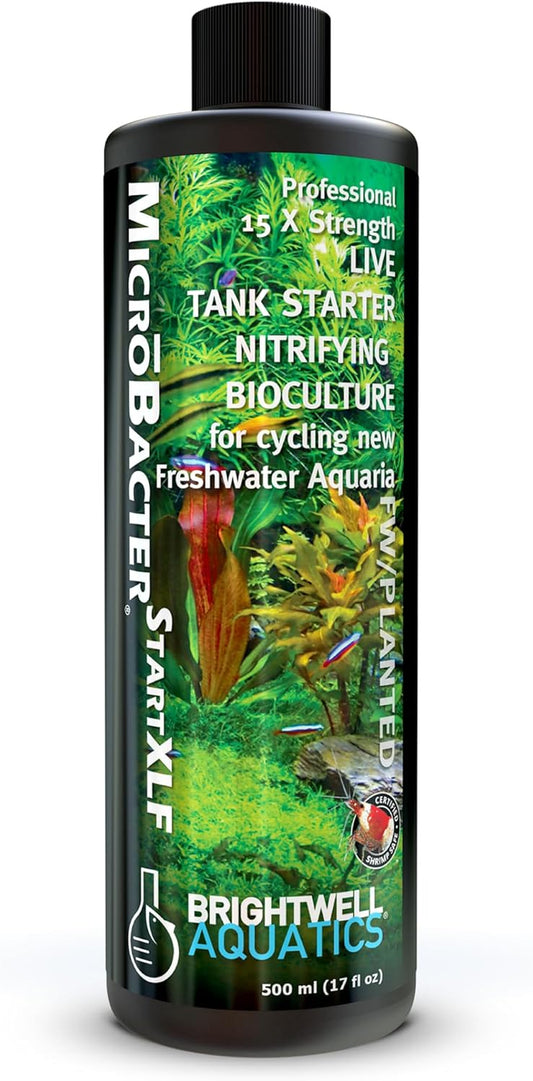 🚀 Kickstart Your Aquarium with Brightwell Aquatics Microbacter Start XLF! 🐟💧 Concentrated Freshwater Nitrifying Bacteria for a Quick Start – Boost Microbe Levels & Enhance Water Quality! 🌊✨ 16.9 Fl Oz of Pure Aquarium Magic! #FishTank #AquariumCare