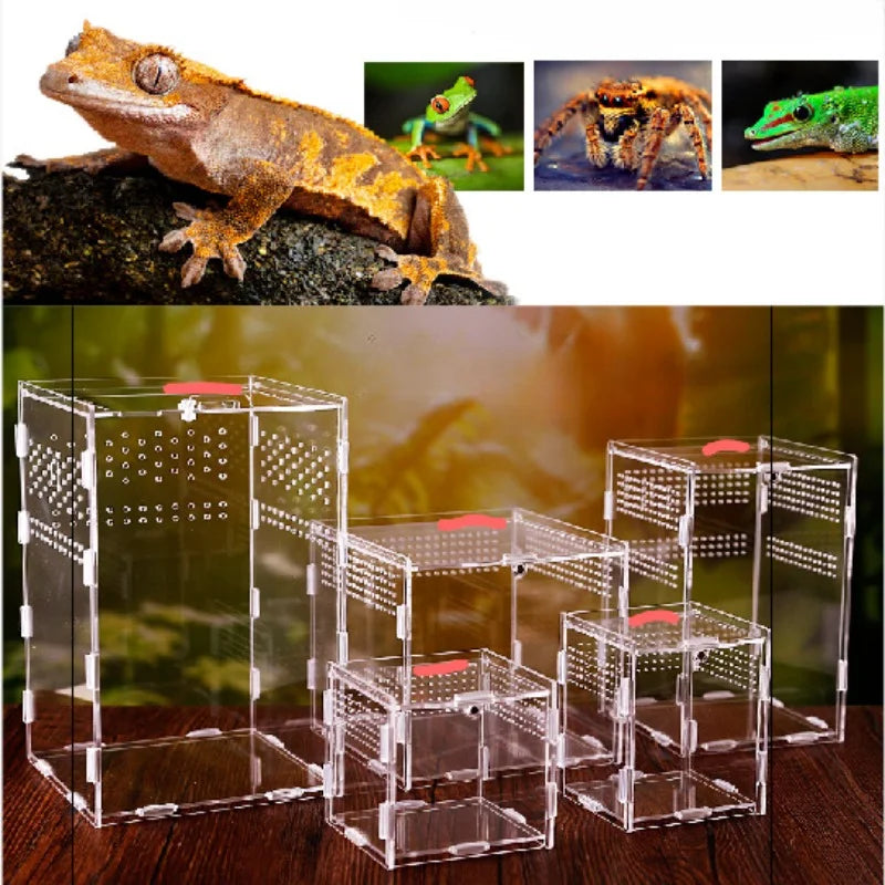 "🐢🦎 Perfect Home for Your Reptiles! Transparent Acrylic Breeding Box for Lizards & Turtles - Safe, Stylish & Organic! 🌱✨"