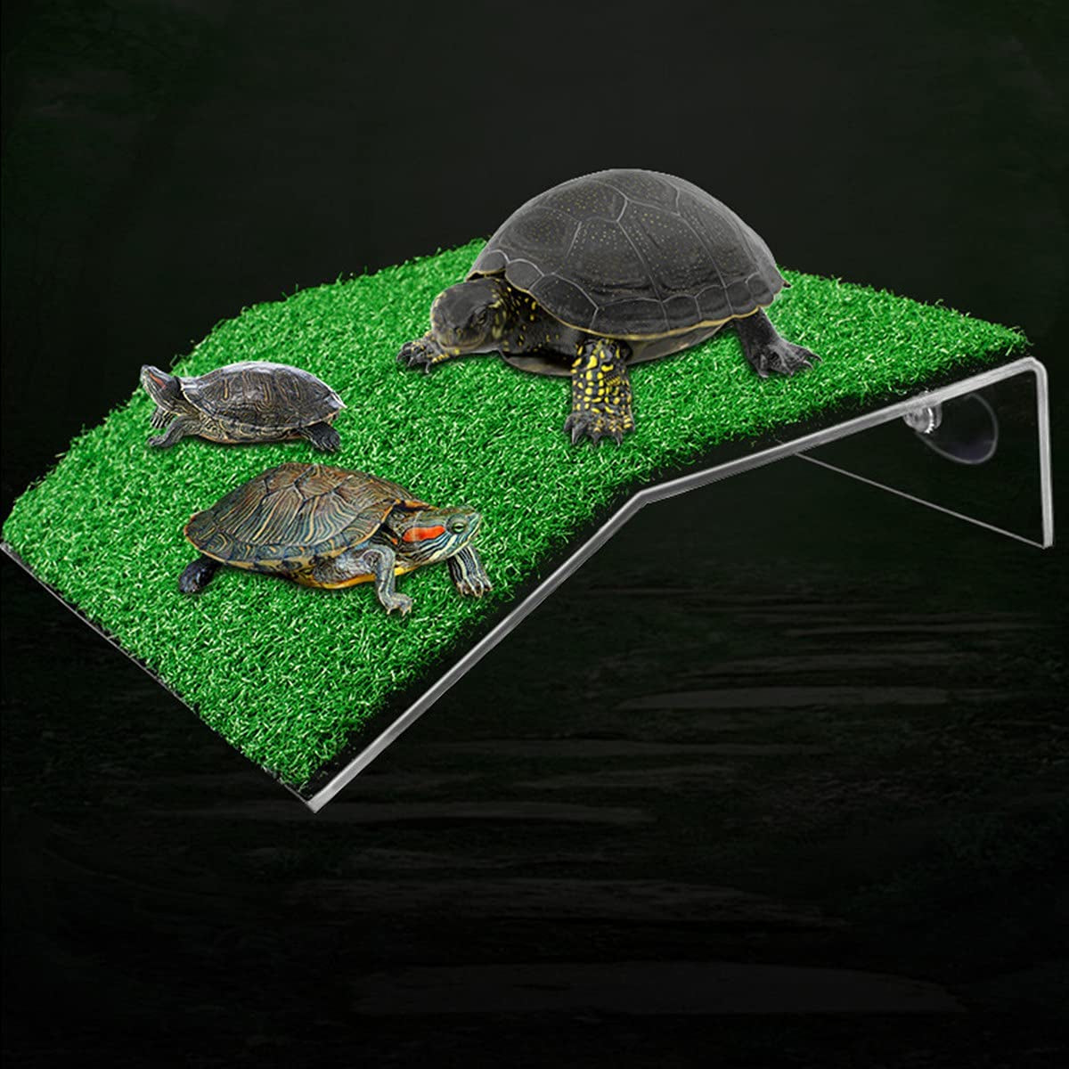 🌿🐢 Upgrade Your Turtle's Home with the Doublewood Lawn Turtle Basking Platform! Perfect for small reptiles & frogs, this realistic grass ramp is a must-have for your turtle tank! 🐸✨ #TurtleCare #ReptileLovers