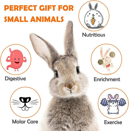 "🐰✨ Treat Your Furry Friends with Sofier's Handmade Natural Chews! Perfect for Bunnies, Guinea Pigs, Hamsters & More! 🍏🌿 #PetLovers #SmallAnimalToys"