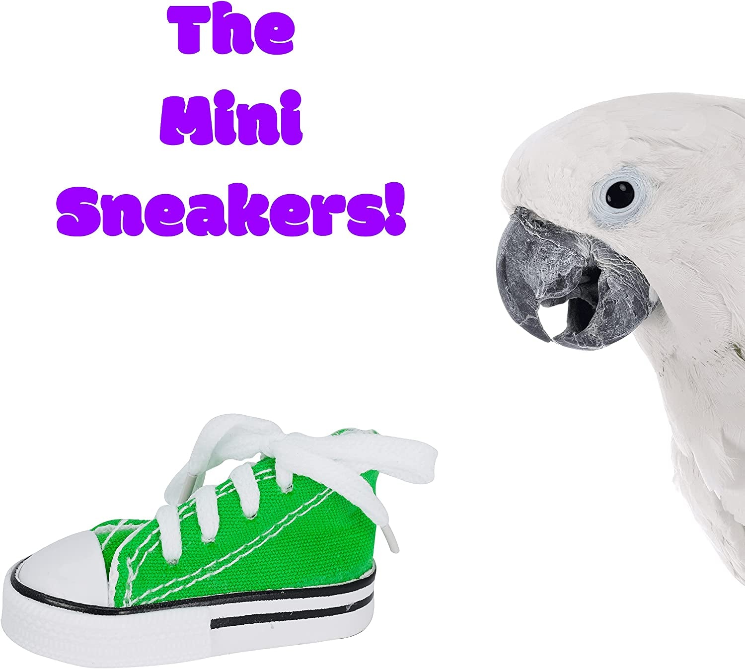 "🐦🎉 Treat your feathered friends with Bonka Bird Toys Mini Sneakers! Perfect for Senegal, Ringneck, Pionus & more! Just 3” long and ready for fun! 🐥💚 #BirdToys #ParrotPlaytime"