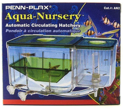 🌊🐟 Discover the Penn-Plax AN2 Aqua Nursery & Hatchery Aquarium – Perfect for nurturing your aquatic babies! 🐠💚 #AquariumLife #FishHatching