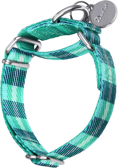 🎨✨ Stylish & Comfy Martingale Dog Collar! 🌈🐾 Perfect for Medium & Large Pups - Soft, No Pull Design with a Gorgeous Blue White Plaid Oil Painting Pattern! 🐶💙 #DogFashion #PetStyle