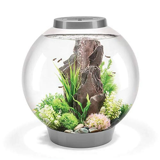 "Transform Your Space with the Biorb CLASSIC 15 Aquarium! 🌊✨ 4 Gallon, Sleek Silver Design & LED Glow!"