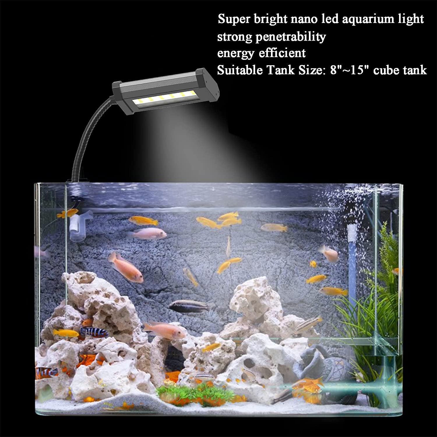 "Transform Your Nano Tank! 🌊✨ Lominie Clip-On Aquarium Light with Timer - Perfect Full Spectrum Coral Glow for Small Saltwater Fish Tanks! 🐠💡"