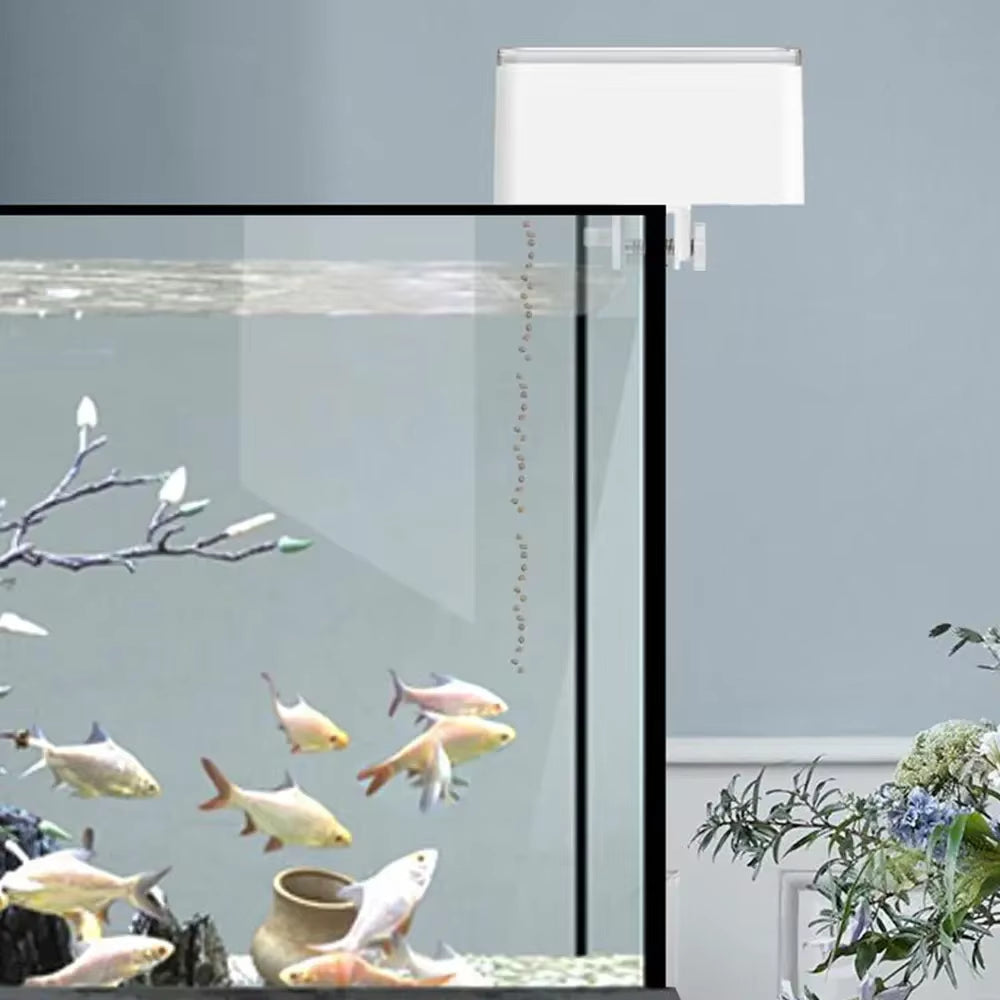 🌊🐟 Upgrade Your Aquarium Game! Meet the Smart 500ml LED Fish Feeder with Timer – The Ultimate Automatic Pet Food Dispenser! 🐠✨ #FishLovers #AquariumEssentials