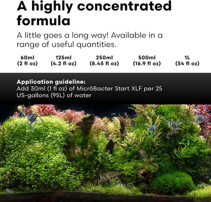 🚀 Kickstart Your Aquarium with Brightwell Aquatics Microbacter Start XLF! 🐟💧 Concentrated Freshwater Nitrifying Bacteria for a Quick Start – Boost Microbe Levels & Enhance Water Quality! 🌊✨ 16.9 Fl Oz of Pure Aquarium Magic! #FishTank #AquariumCare