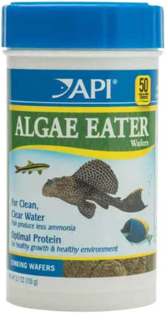 🌊🐠 Keep your tank crystal clear with API Algae Eater Wafers! 🐟✨ Perfect fish food for a happy, healthy aquarium! 3.7 oz of algae-fighting goodness! 💚 #FishFood #AquariumLife