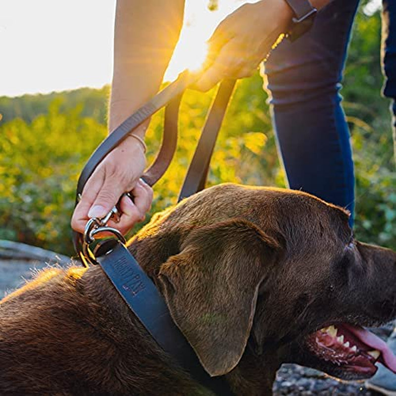 "Unleash Style with the Mighty Paw Leather Dog Leash! 🐾✨ Crafted from genuine distressed leather, this heavy-duty leash is perfect for pups of all sizes. Elevate your walks with a modern touch! 🐶❤️ #DogLovers #PetStyle #MightyPaw"