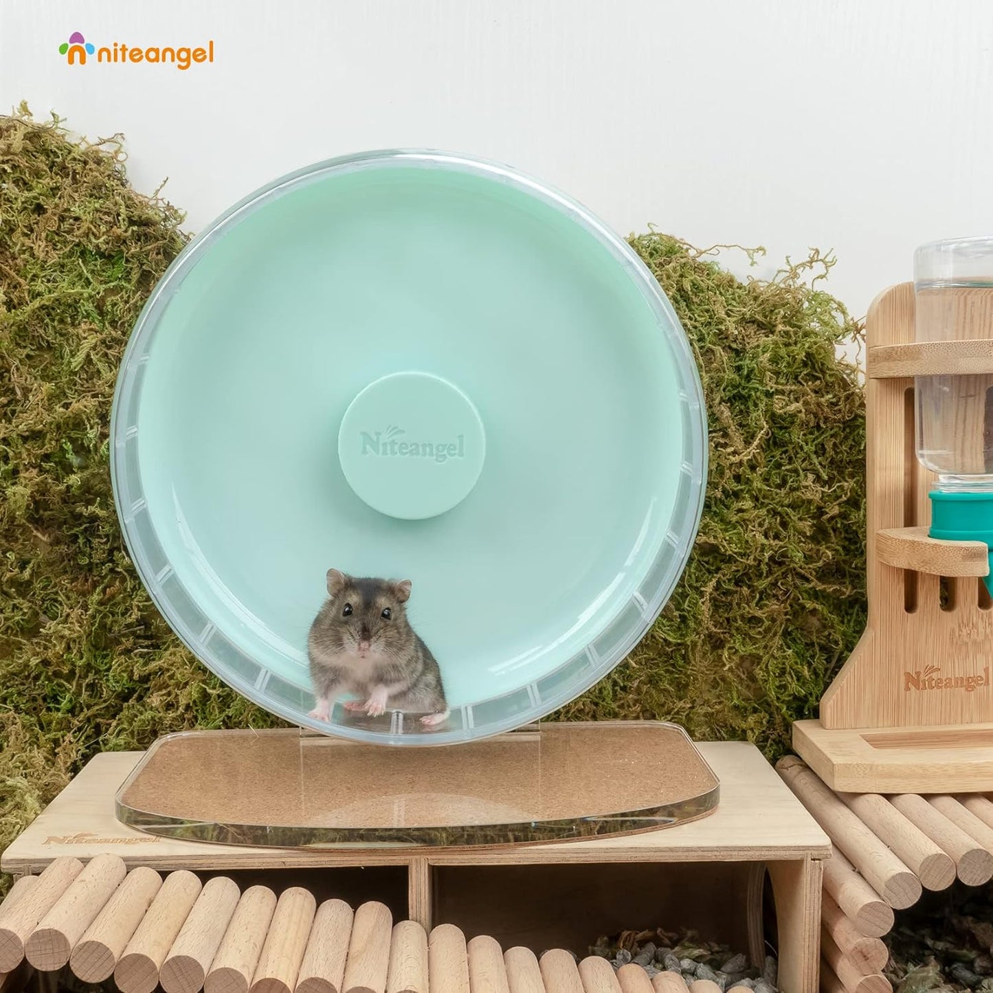 🌟 Keep Your Furry Friend Active! 🌟 Check out the Niteangel Super-Silent Hamster Wheel 🐹💚 Perfect for hamsters, gerbils, and mice! Adjustable stand & ultra-quiet for endless fun! #PetLovers #HamsterLife #SmallAnimalJoy