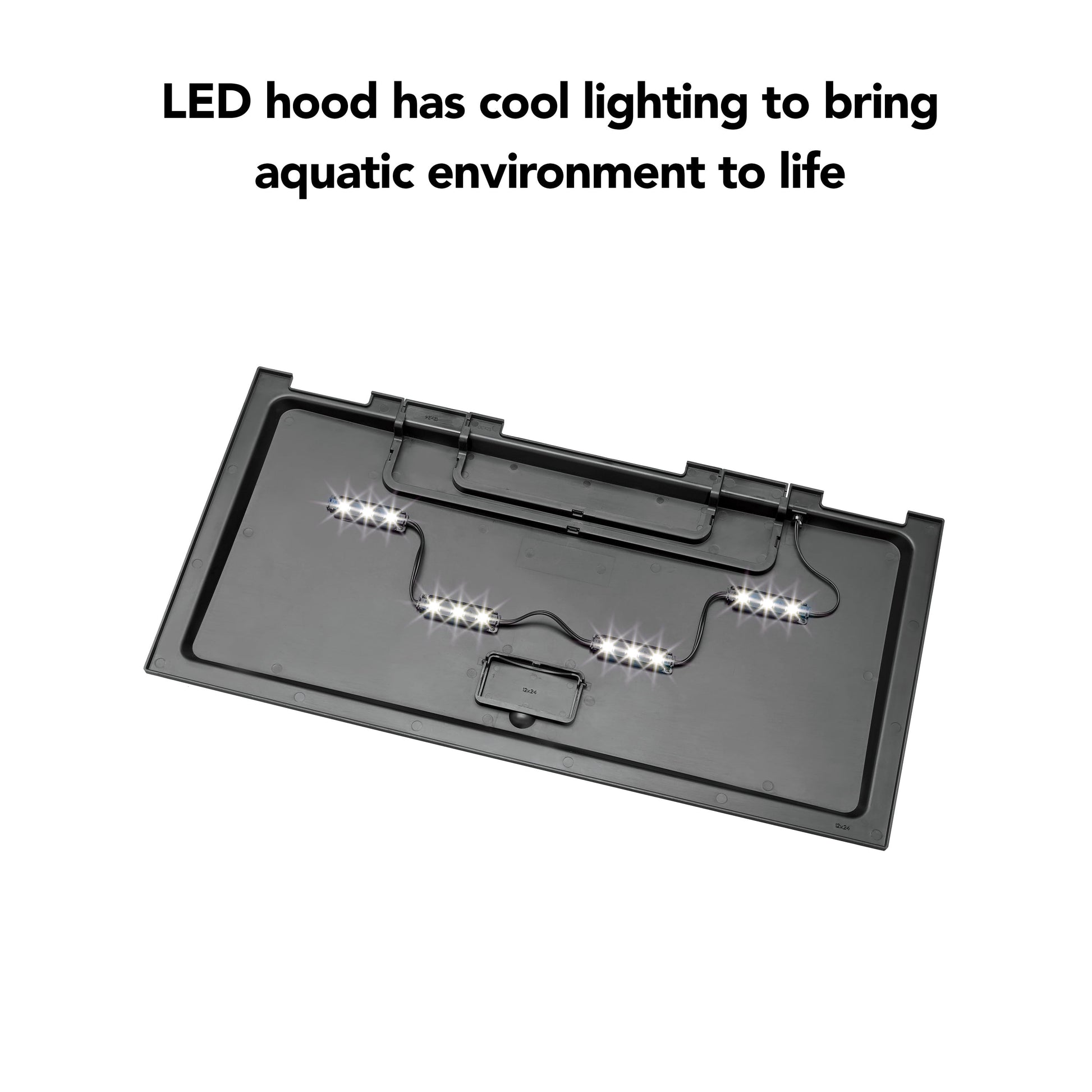 "Kickstart Your Aquatic Adventure with the Aqueon 20 High Aquarium Starter Kit & Stunning LED Lights!"