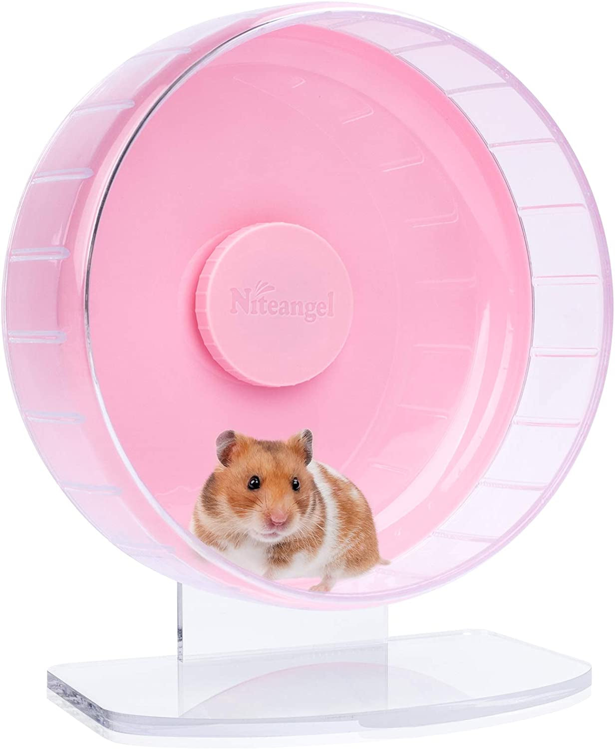 🌟 Keep Your Furry Friend Active! 🌟 Check out the Niteangel Super-Silent Hamster Wheel 🐹💚 Perfect for hamsters, gerbils, and mice! Adjustable stand & ultra-quiet for endless fun! #PetLovers #HamsterLife #SmallAnimalJoy