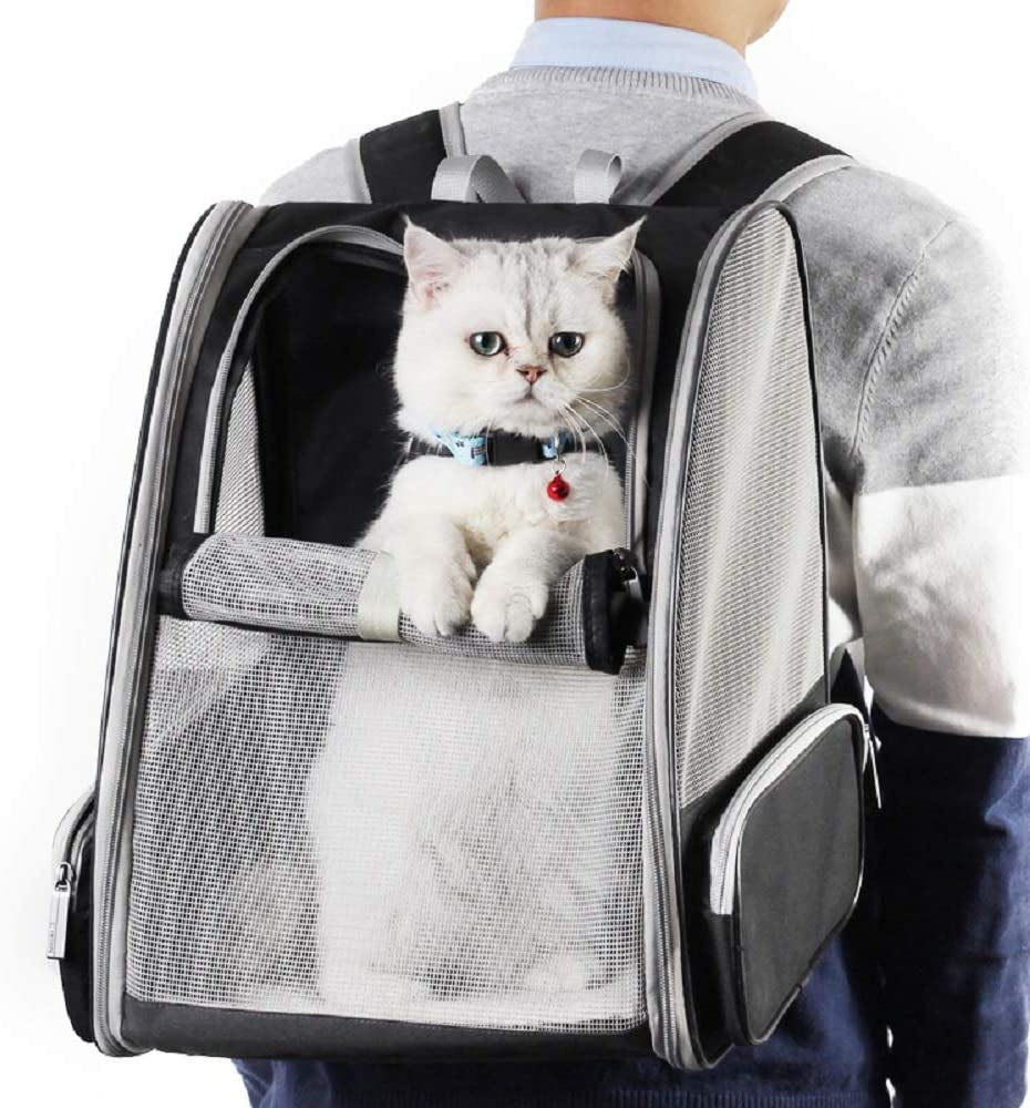 🌟 Travel in Style with the Texsens Bubble Backpack for Your Furry Friends! 🐾✨ Perfect for Cats & Dogs! 🖤 #PetTravel #BubbleBackpack