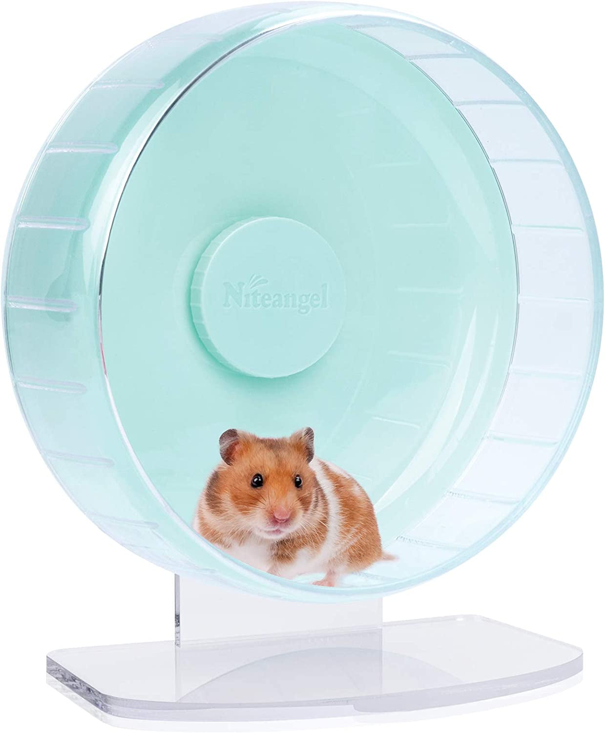 🌟 Keep Your Furry Friend Active! 🌟 Check out the Niteangel Super-Silent Hamster Wheel 🐹💚 Perfect for hamsters, gerbils, and mice! Adjustable stand & ultra-quiet for endless fun! #PetLovers #HamsterLife #SmallAnimalJoy