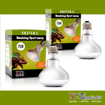 🔥 Keep Your Reptiles Cozy with Our 75 Watt Heat Lamp Bulb! 🦎✨