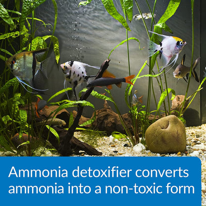 "Keep Your Aquarium Safe! 🌊✨ API Ammo Lock - 1 Gallon Ammonia Detoxifier for Freshwater & Saltwater!"