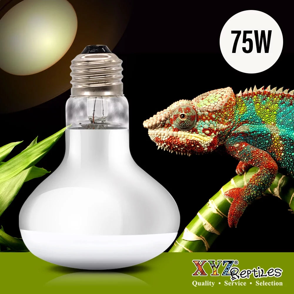 🔥 Keep Your Reptiles Cozy with Our 75 Watt Heat Lamp Bulb! 🦎✨