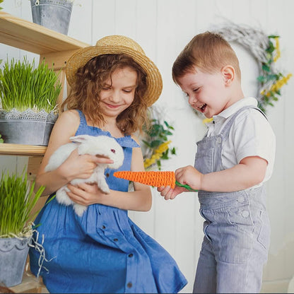 "🐰✨ Treat Your Furry Friends with Sofier's Handmade Natural Chews! Perfect for Bunnies, Guinea Pigs, Hamsters & More! 🍏🌿 #PetLovers #SmallAnimalToys"