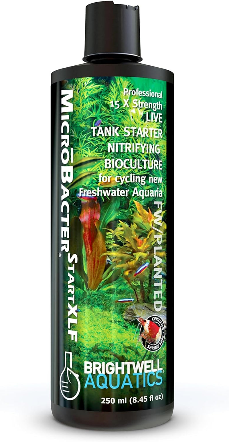 🚀 Kickstart Your Aquarium with Brightwell Aquatics Microbacter Start XLF! 🐟💧 Concentrated Freshwater Nitrifying Bacteria for a Quick Start – Boost Microbe Levels & Enhance Water Quality! 🌊✨ 16.9 Fl Oz of Pure Aquarium Magic! #FishTank #AquariumCare