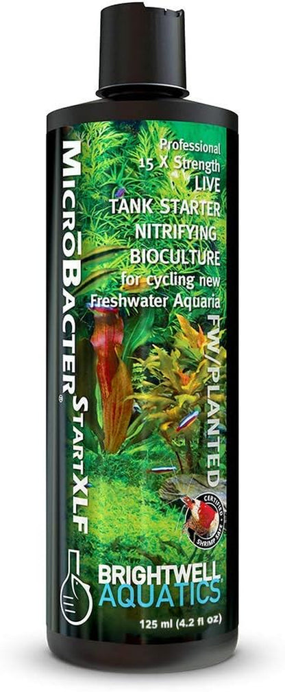 🚀 Kickstart Your Aquarium with Brightwell Aquatics Microbacter Start XLF! 🐟💧 Concentrated Freshwater Nitrifying Bacteria for a Quick Start – Boost Microbe Levels & Enhance Water Quality! 🌊✨ 16.9 Fl Oz of Pure Aquarium Magic! #FishTank #AquariumCare