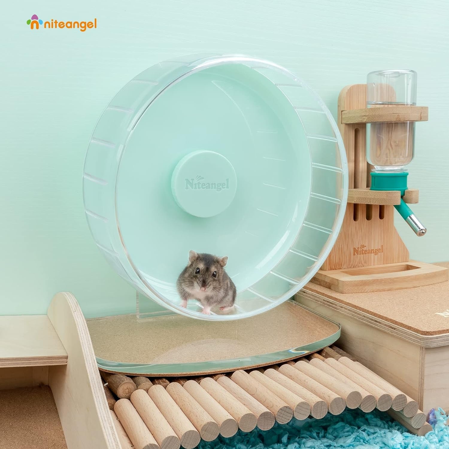 🌟 Keep Your Furry Friend Active! 🌟 Check out the Niteangel Super-Silent Hamster Wheel 🐹💚 Perfect for hamsters, gerbils, and mice! Adjustable stand & ultra-quiet for endless fun! #PetLovers #HamsterLife #SmallAnimalJoy