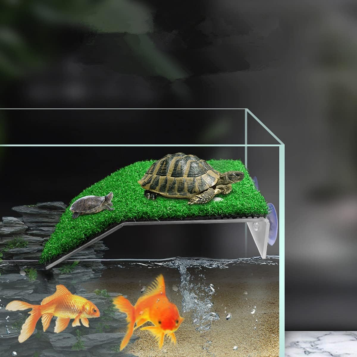 🌿🐢 Upgrade Your Turtle's Home with the Doublewood Lawn Turtle Basking Platform! Perfect for small reptiles & frogs, this realistic grass ramp is a must-have for your turtle tank! 🐸✨ #TurtleCare #ReptileLovers