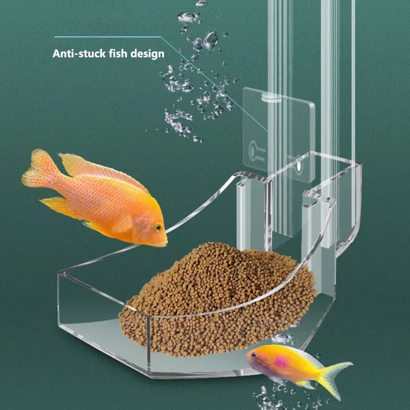 "Say goodbye to messy feeding! 🐠✨ Check out our Transparent Acrylic Feeding Tube - perfect for all your fish tanks! #FishFeeder #AquariumLife"