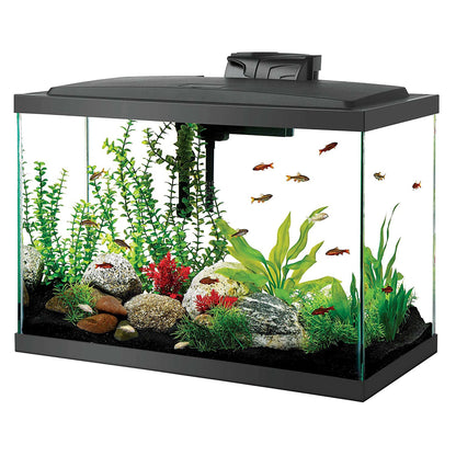 "Kickstart Your Aquatic Adventure with the Aqueon 20 High Aquarium Starter Kit & Stunning LED Lights!"