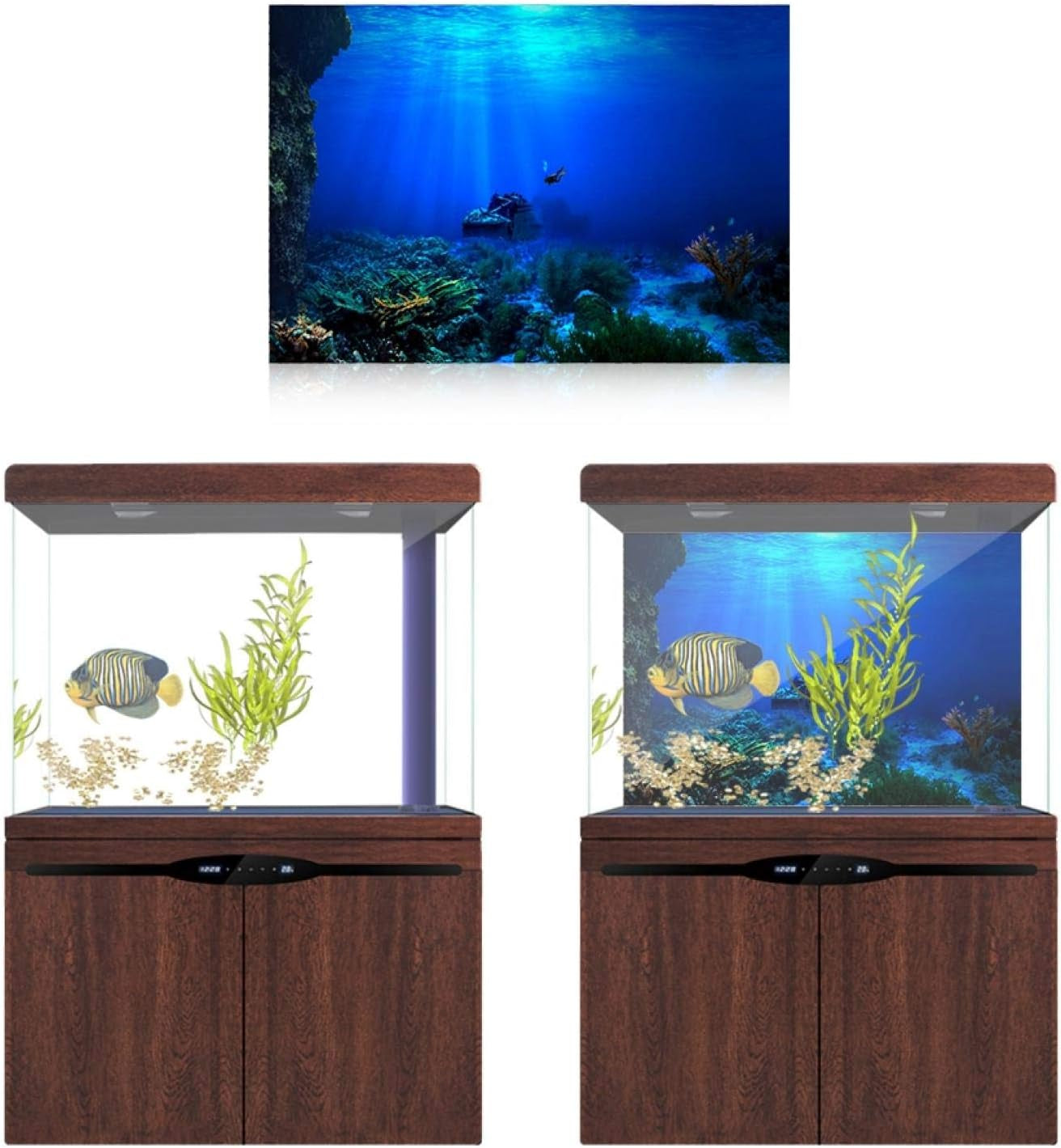 Transform Your Aquarium with GLOGLOW's Stunning Underwater Background Sticker! 🌊🐠 #AquariumDecor #FishLovers #HomeAquarium