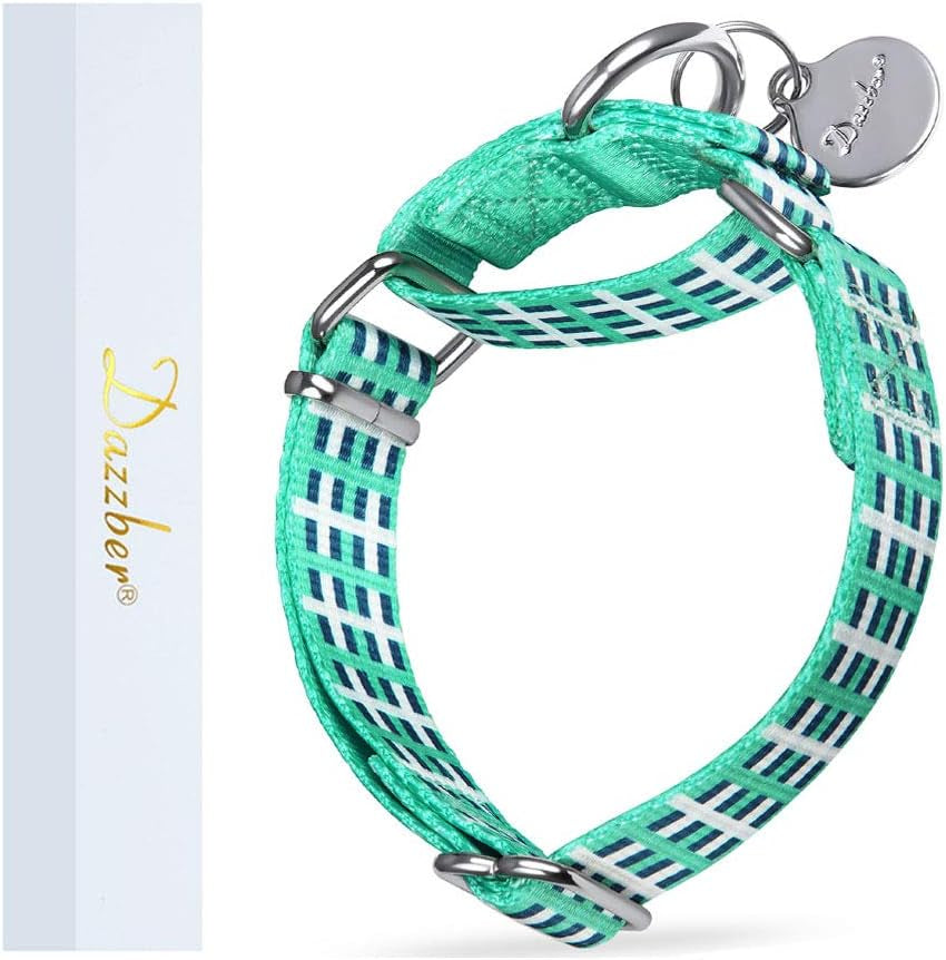 🎨✨ Stylish & Comfy Martingale Dog Collar! 🌈🐾 Perfect for Medium & Large Pups - Soft, No Pull Design with a Gorgeous Blue White Plaid Oil Painting Pattern! 🐶💙 #DogFashion #PetStyle