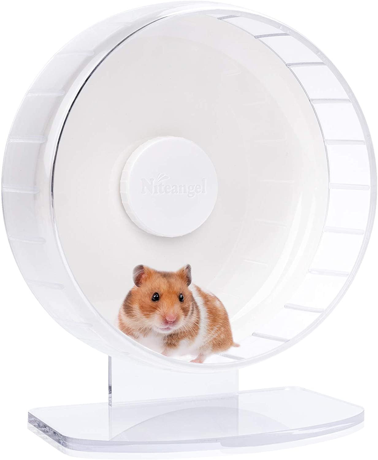 🌟 Keep Your Furry Friend Active! 🌟 Check out the Niteangel Super-Silent Hamster Wheel 🐹💚 Perfect for hamsters, gerbils, and mice! Adjustable stand & ultra-quiet for endless fun! #PetLovers #HamsterLife #SmallAnimalJoy