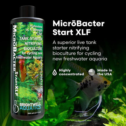 🚀 Kickstart Your Aquarium with Brightwell Aquatics Microbacter Start XLF! 🐟💧 Concentrated Freshwater Nitrifying Bacteria for a Quick Start – Boost Microbe Levels & Enhance Water Quality! 🌊✨ 16.9 Fl Oz of Pure Aquarium Magic! #FishTank #AquariumCare