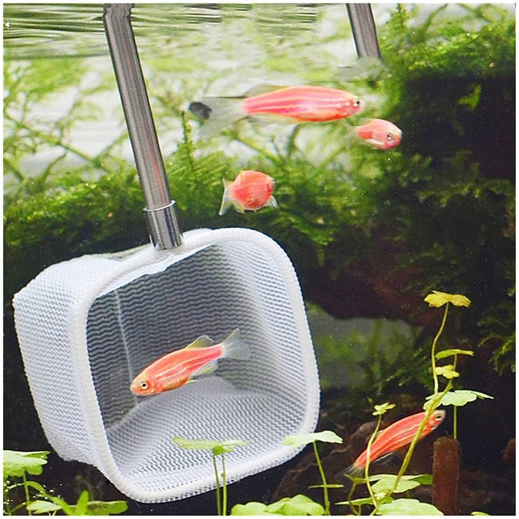 "Catch the Best with Upettools! 🐟✨ Extendable Stainless Steel Skimming Net for Your Aquarium, Pond, or Creek! Perfect for Fish & Shrimp Lovers! 🦐🌊"