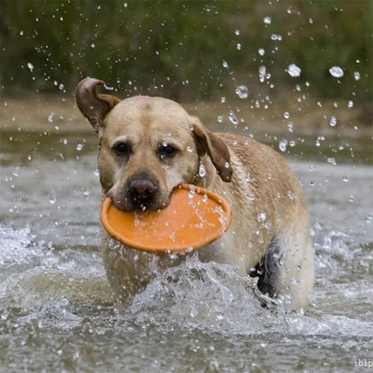 Outdoor Pet Toys Silicone Dog Toys Interactive Toys Pet Supplies 18Cm