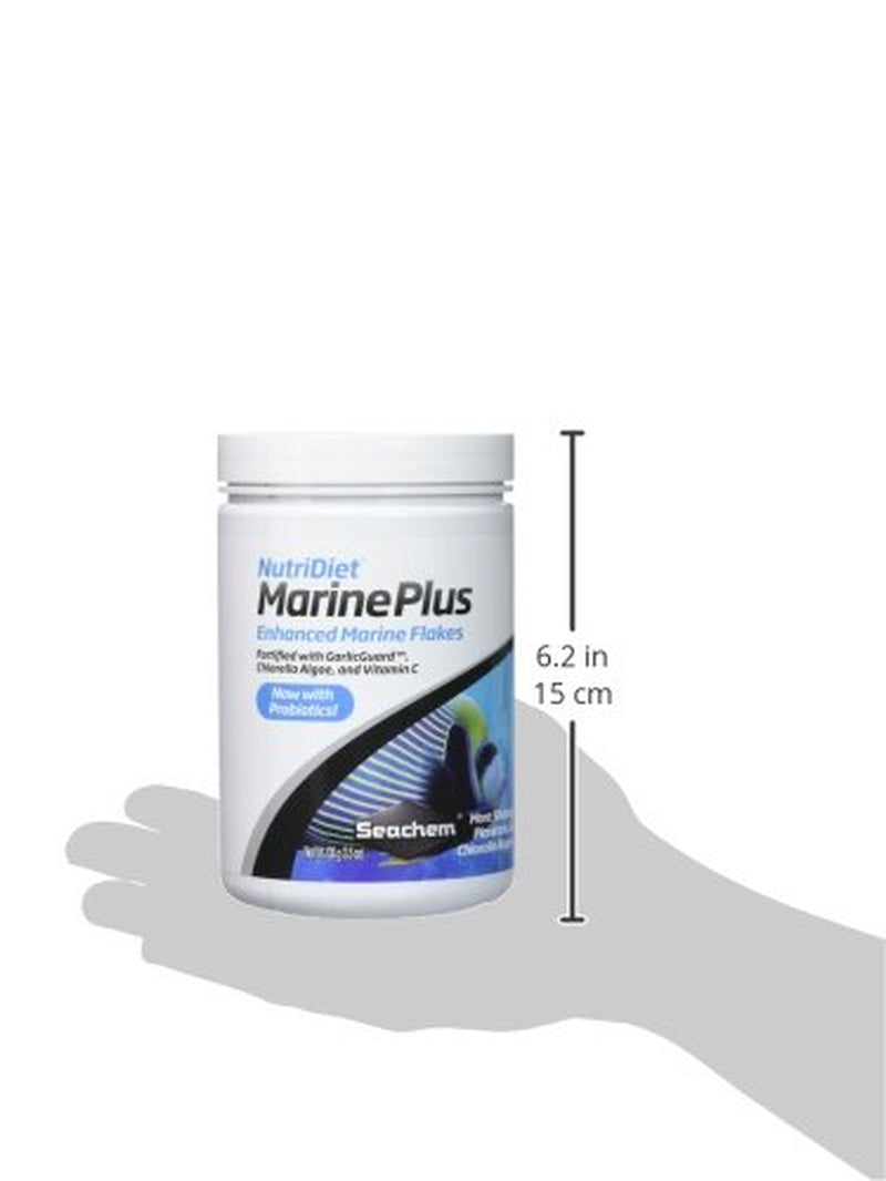 "Boost Your Fish's Health with Seachem Nutridiet Marine Plus Flakes! 🐠✨ Probiotic Formula with Entice - 100G of Pure Goodness!"