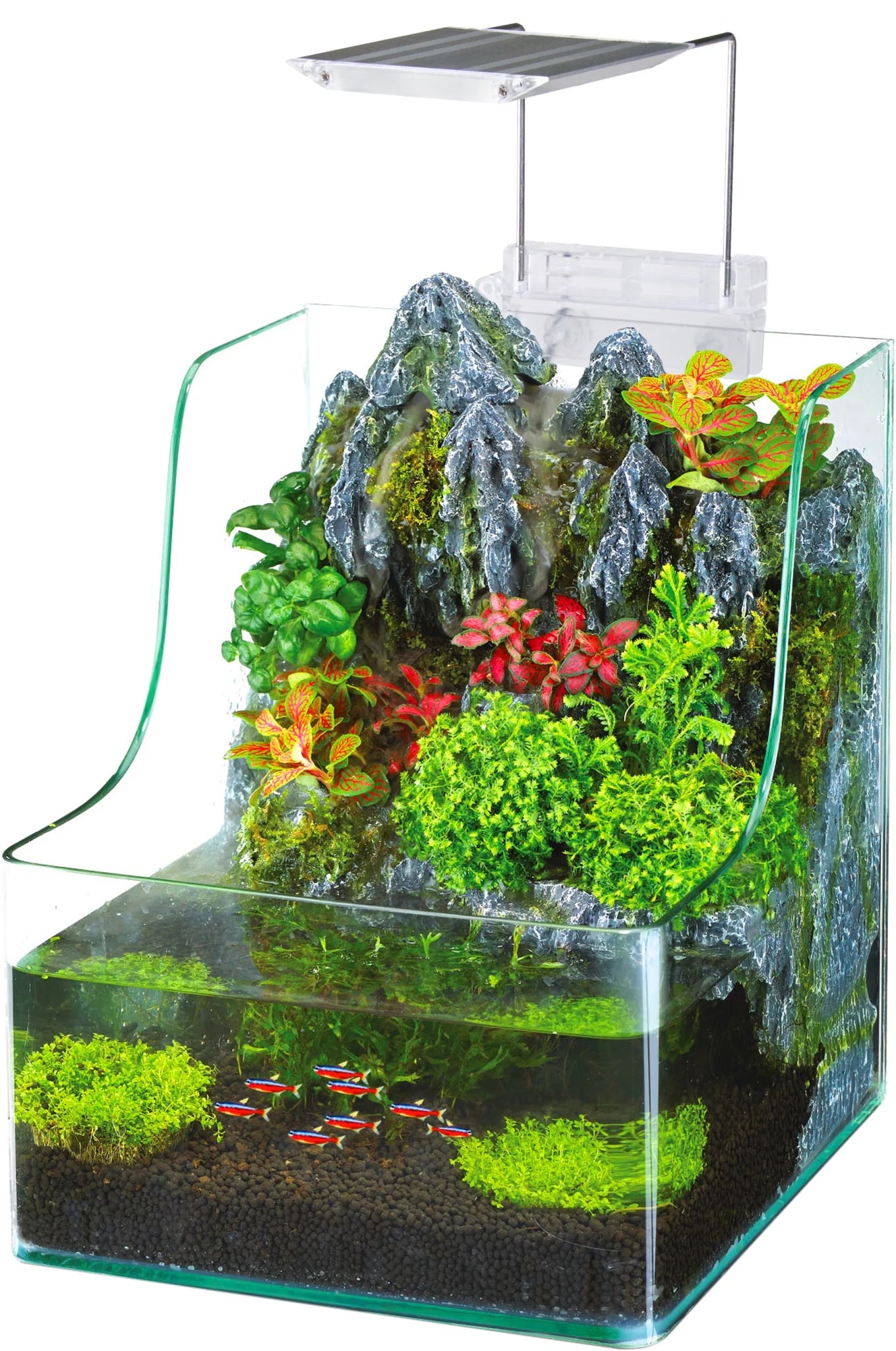 🌿🐠 Transform your space with the Penn-Plax Aquaterrium Tank! Perfect for live plants and fish, this stunning 1.85-gallon hydroponic glass aquarium is a must-have for any aquatic lover! 💧✨ #AquariumGoals #PlantLife #FishTank