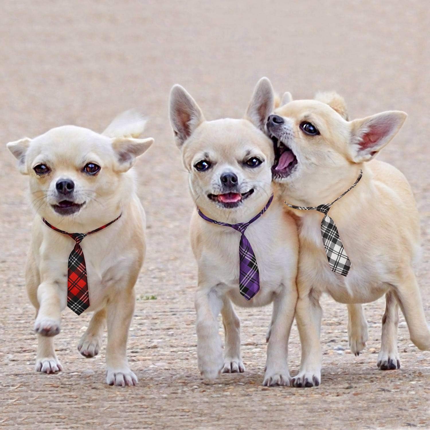 "🎀✨ Dress your pup to impress with Segarty's Adjustable Dog Ties! Perfect for large dogs, these stylish neck ties are ideal for Valentine's Day, birthdays, weddings, and cosplay! 🐾💖 #DogFashion #PupStyle"