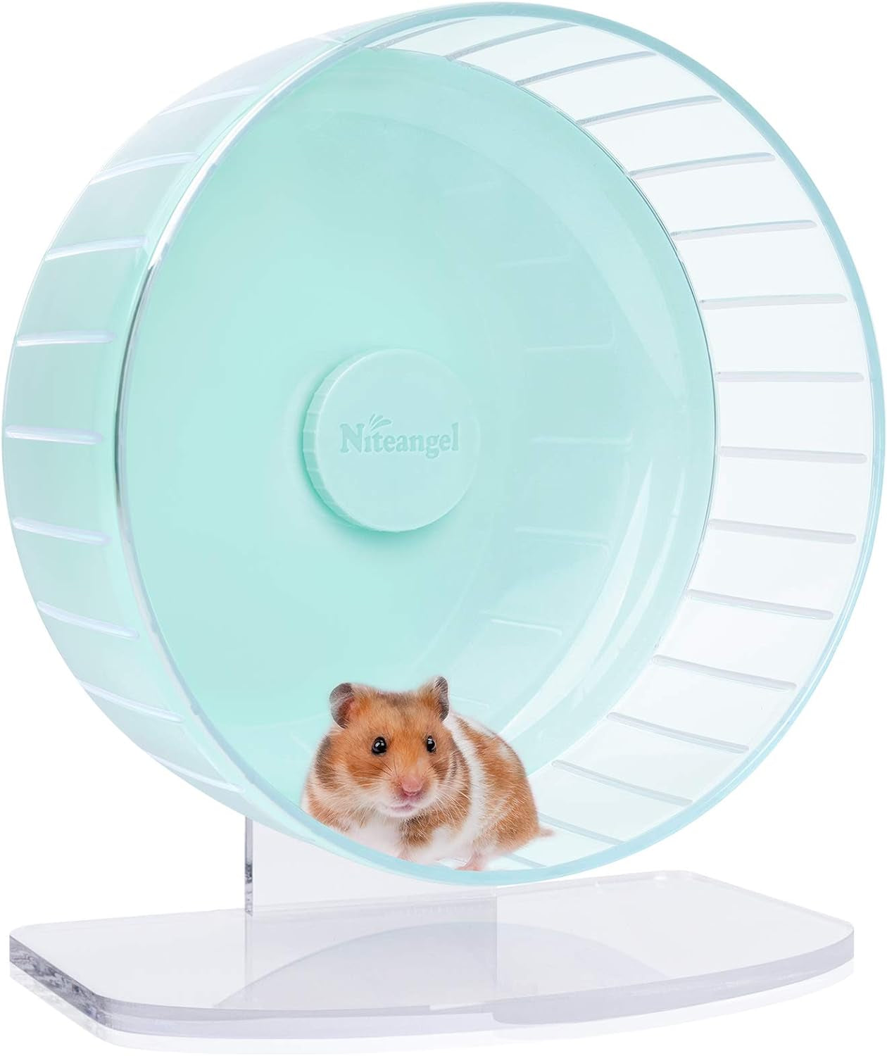 🌟 Keep Your Furry Friend Active! 🌟 Check out the Niteangel Super-Silent Hamster Wheel 🐹💚 Perfect for hamsters, gerbils, and mice! Adjustable stand & ultra-quiet for endless fun! #PetLovers #HamsterLife #SmallAnimalJoy