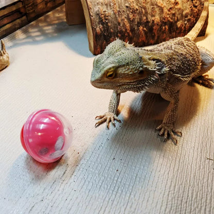 🐉✨ Elevate Playtime with Vehomy's 6Pcs Interactive Feeding Balls for Bearded Dragons & Lizards! Perfect for your scaly friends! 🦎💚 #ReptileToys #BeardedDragonFun