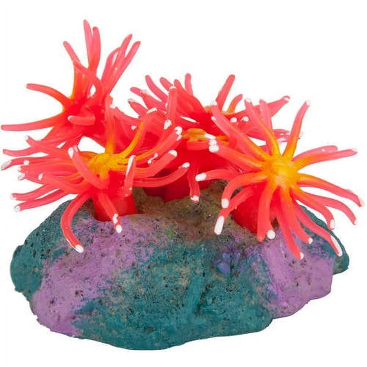 "Transform Your Aquarium with Pennington Aquagarden's Fun Silicone Anemone Fish & Accessories! 🐠🌊"