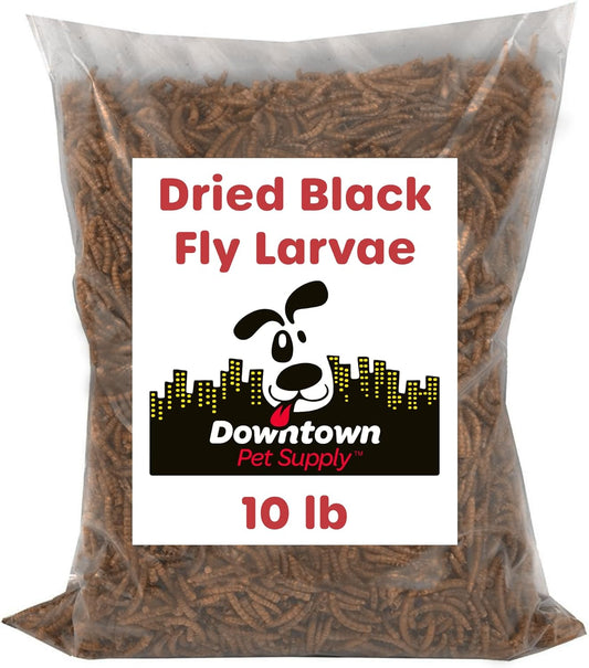 🐦🐔 Elevate Your Pet's Diet with Downtown Pet Supply's 10 LB Black Soldier Fly Larvae! 🦎💪 Packed with Vitamin B12, Protein, and Omega 3s - Perfect for Wild Birds, Poultry, Reptiles, and Small Mammals! 🌟 #PetNutrition #HealthyPets