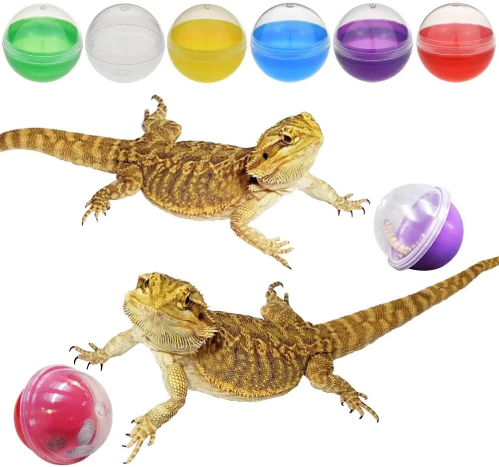 🐉✨ Elevate Playtime with Vehomy's 6Pcs Interactive Feeding Balls for Bearded Dragons & Lizards! Perfect for your scaly friends! 🦎💚 #ReptileToys #BeardedDragonFun