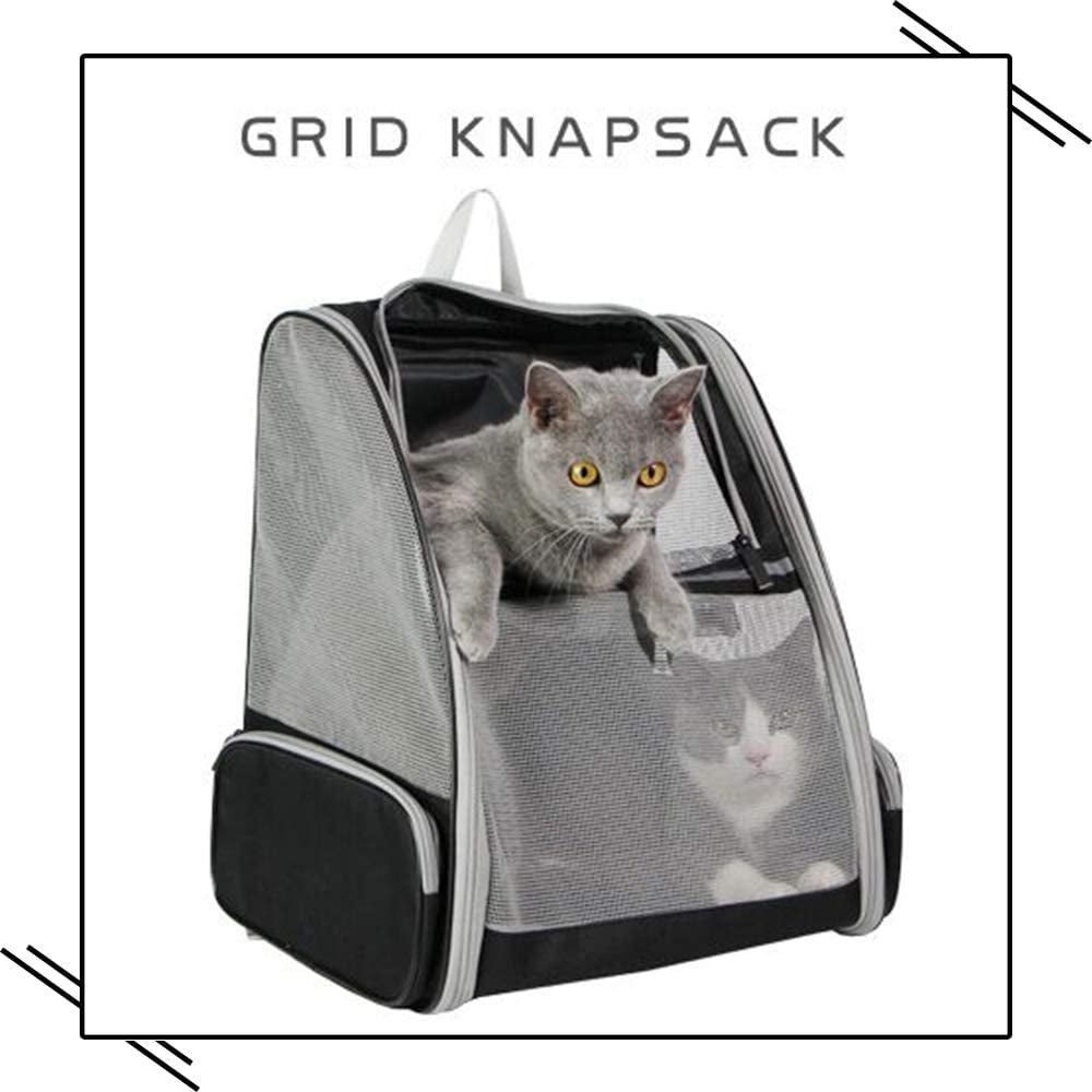 🌟 Travel in Style with the Texsens Bubble Backpack for Your Furry Friends! 🐾✨ Perfect for Cats & Dogs! 🖤 #PetTravel #BubbleBackpack